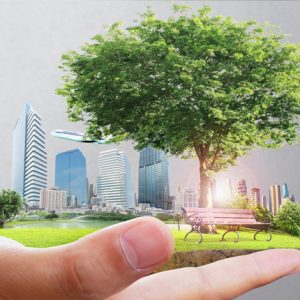 ENVIRONMENTAL ASPECTS AND IMPACTS