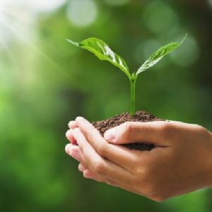 ENVIRONMENTAL MANAGEMENT - SAQA : 114218