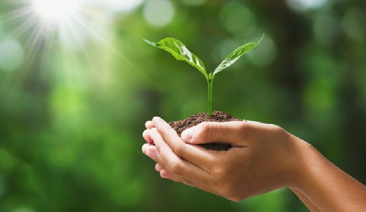 ENVIRONMENTAL MANAGEMENT – SAQA : 114218